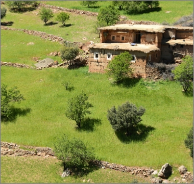 Pueblos Bereberes y Toubkal 8 Dias