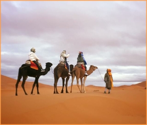 private 4 days desert tour from Casablanca,4 days Casablanca to Merzouga and camel trek