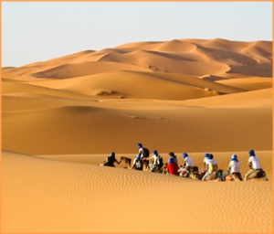 Tours from Marrakech,desert Marrakech trip
