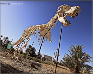 private 8 days Morocco Tour from Tangier, 8 days Tangier tour to desert