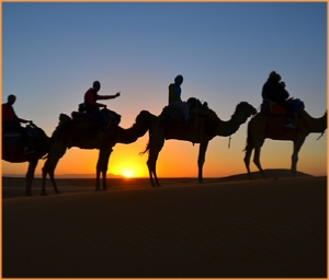 Morocco Tour from Tangier for 8 days,8 days Tangier tour to desert